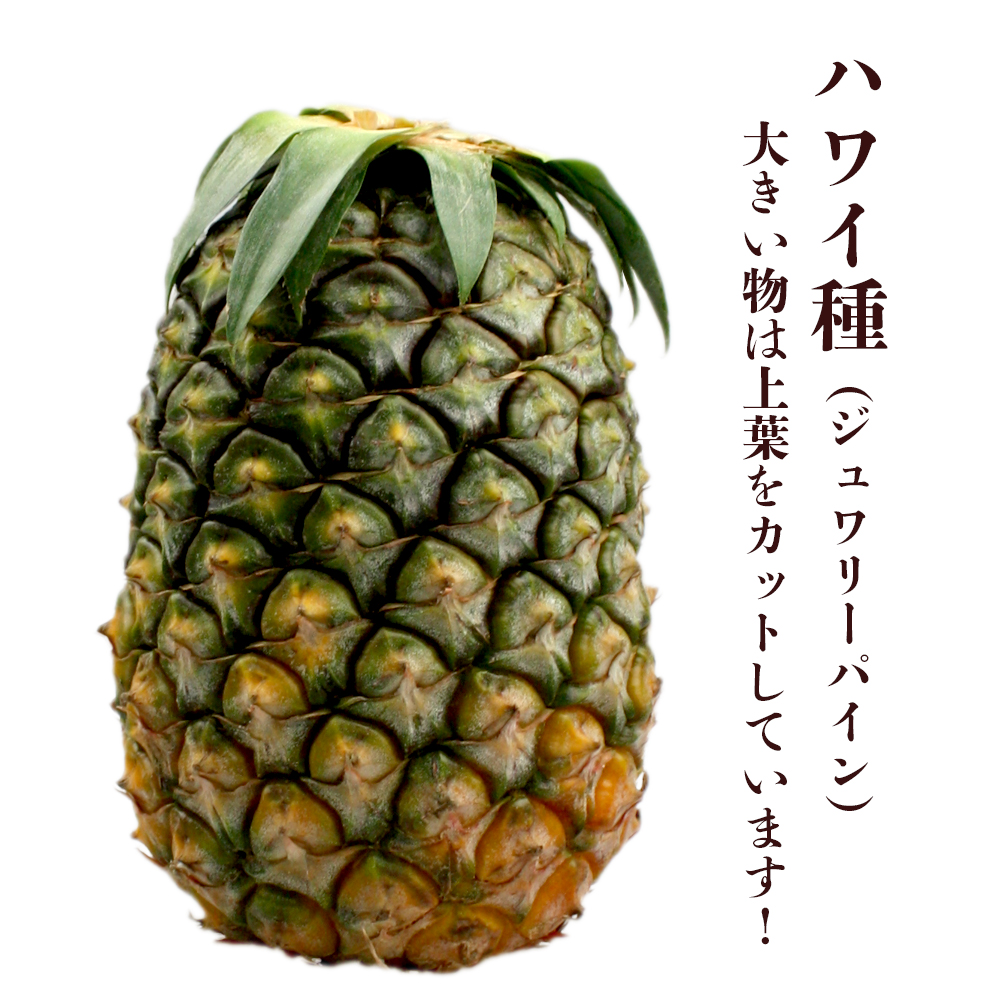 沖縄いちば 収穫終了 沖縄特選果実a 沖縄県産パイナップル 2玉 沖縄いちば 収穫終了 沖縄特選果実a 沖縄県産パイナップル 2玉