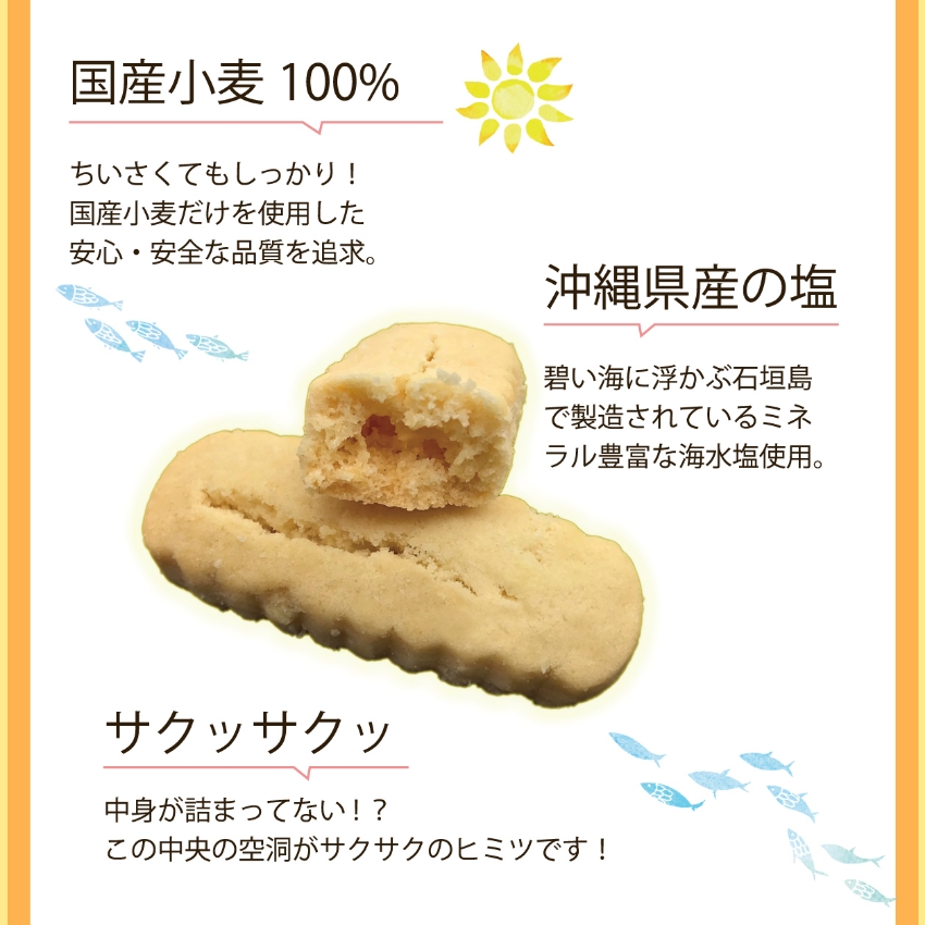 石垣の塩ちんすこう 国産小麦100% 沖縄県産の塩使用 空洞の秘密