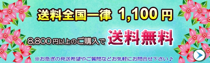 8800円以上で送料無料